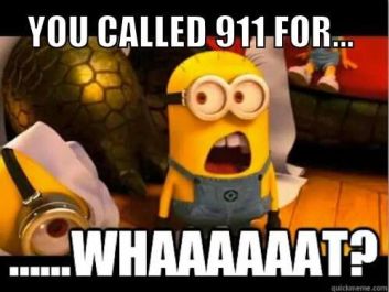 911 minion